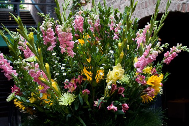 Flower_2008-07-11_IMG_0207